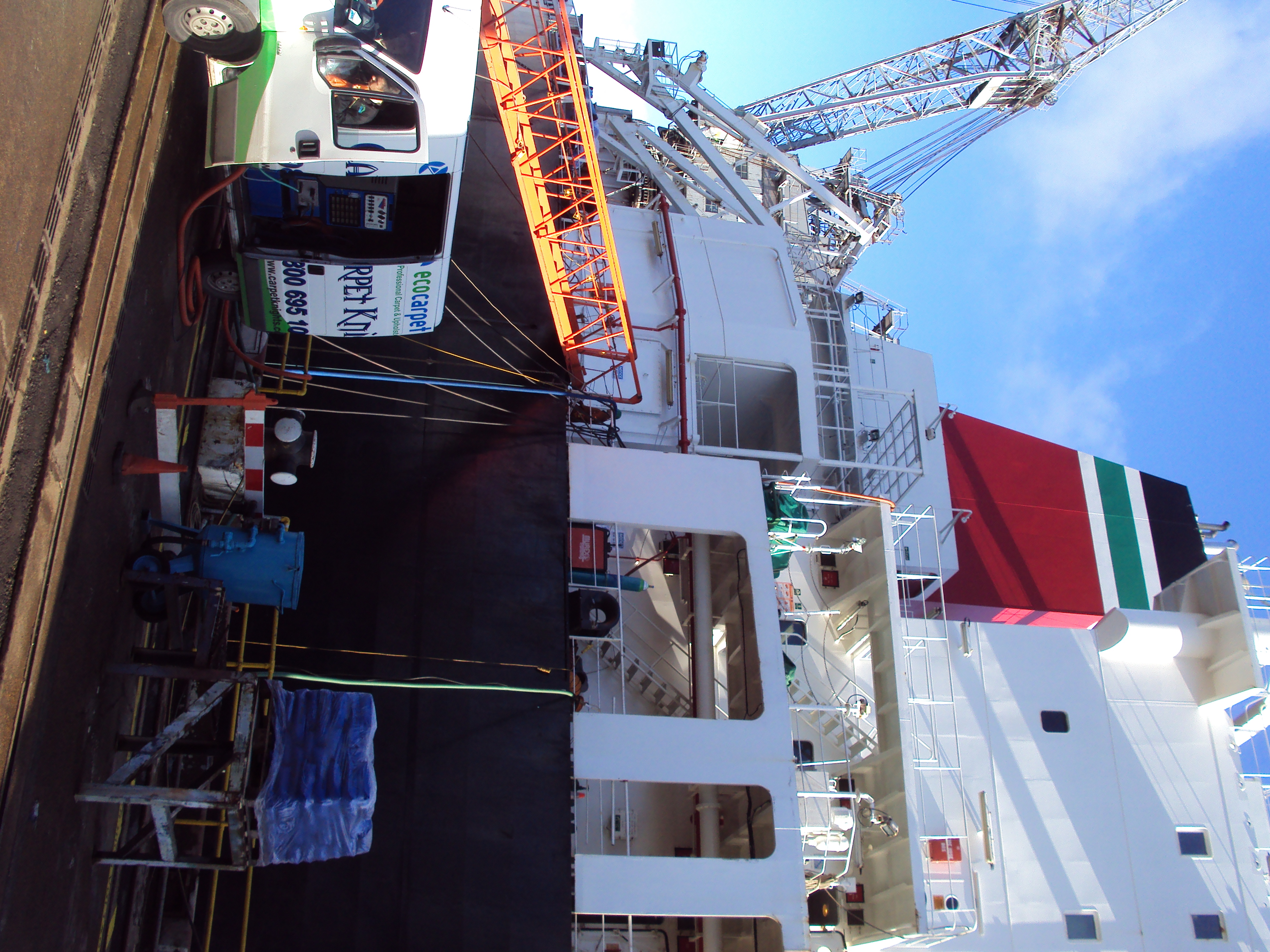 Carpet Knights video and picture gallery Carpet Knights carpet and