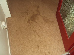 Dirty stain on carpet