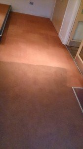 Bodmin Town FC dirty carpet