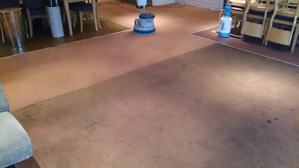 Carpet Knights video and picture gallery Carpet Knights carpet and